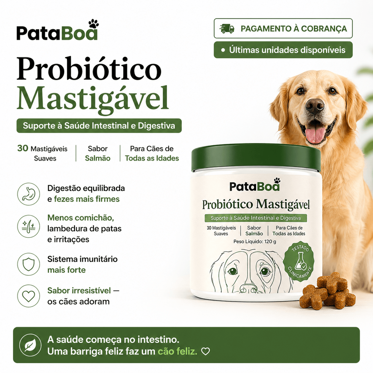 O teu cão merece uma barriga feliz
