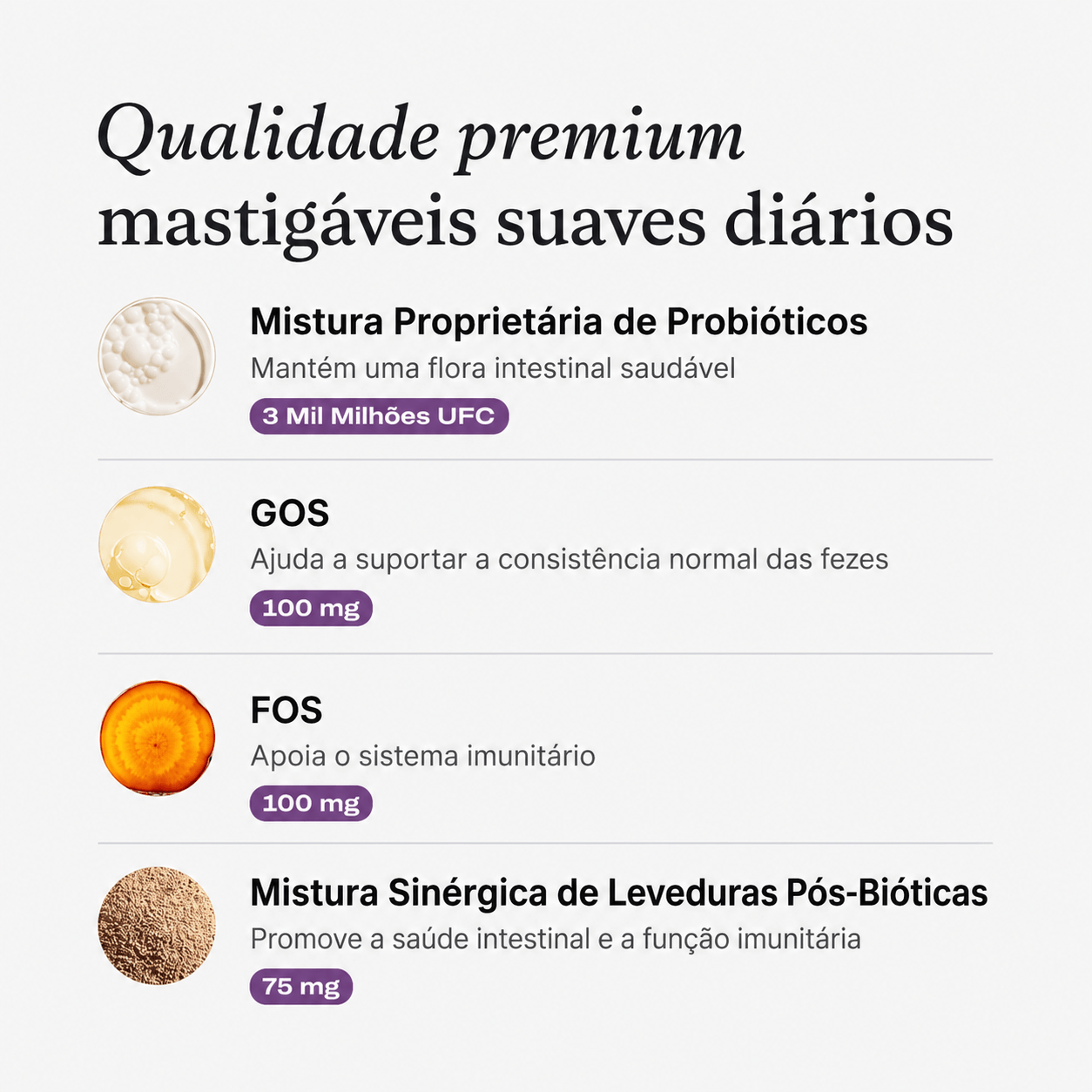 O teu cão merece uma barriga feliz